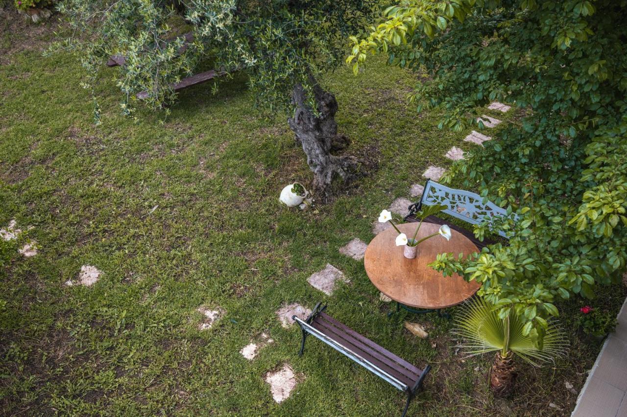 Abelia Studios Tsilivi  Exterior foto